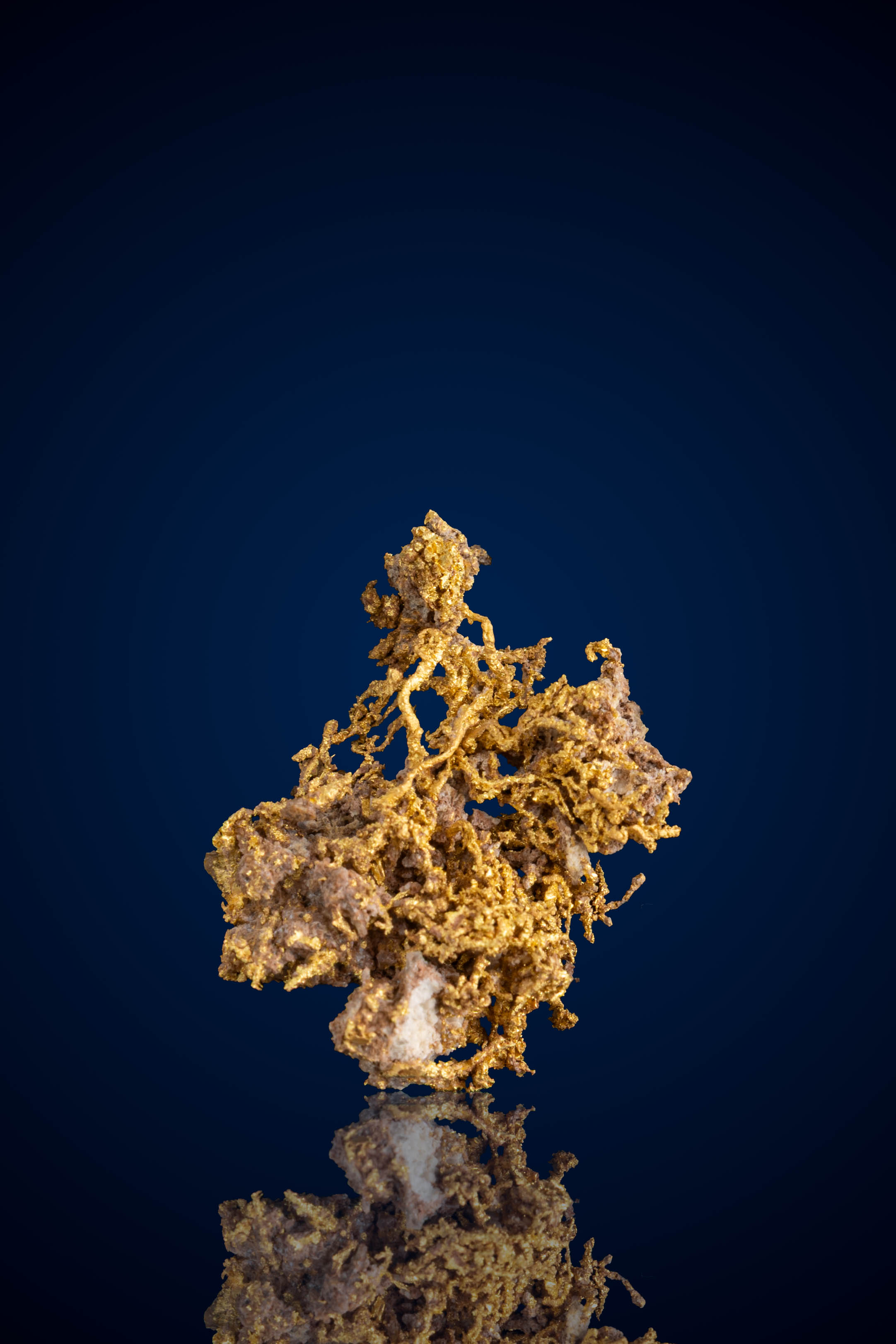 Gorgeous, Coral-Like Natural Gold Nugget with Quartz - Lost Mine, Australia - 1.80 grams (image for) Gorgeous, Coral-Like Natural Gold Nugget with Quartz - Lost Mine, Australia - 1.80 grams